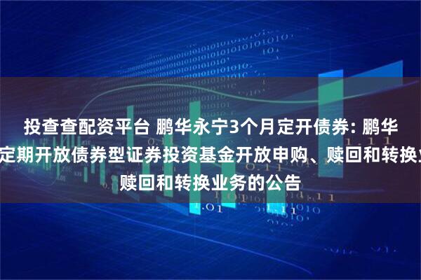 投查查配资平台 鹏华永宁3个月定开债券: 鹏华永宁3个月定期开放债券型证券投资基金开放申购、赎回和转换业务的公告